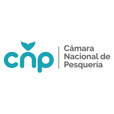 CNP